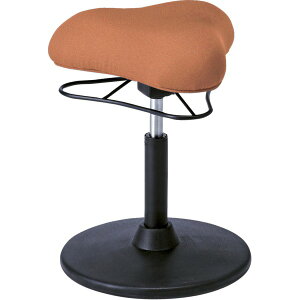 JE^[`FA 41cm LOW^Cv IW X`[ 360x] ~ v|[VXc[ rO _CjOysz