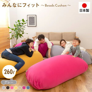  r[YNbV/r[Y\t@[ yO[z 140cm r[Y[ 􂦂Jo[ 傫 { krOlysz I
