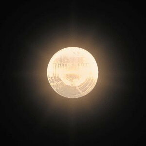 9B2C PH-8 12V35/35W B2 N[ @݁I