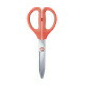 TNT O[Xn (nT-P280R) @݁I