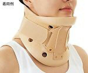 zŃn[hJ[@LNCNL1505607-1066-03 @݁I