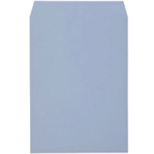 \tgJ[ 100g p2 ANA 100(K2S100A) @݁I