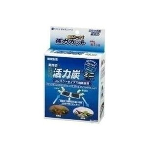 [T~[Y] A ͒Y~j (-) @݁I