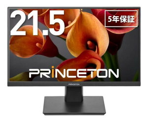 広視野角白色LEDバックライト 21.5型ワイド液晶ディスプレイブラック(PTFBFE-22W)