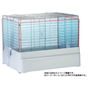 C[W[z[60p NA[3ʃJo[501 @݁I