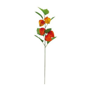 ほおずき 造花の人気商品 通販 価格比較 価格 Com ほおずき 造花の人気商品 通販 価格比較 価格 Com