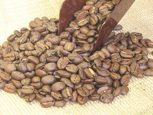 ɐI6ނ@IׁI{̍͂u}uh500gyRCPz