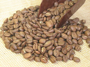 ɐI6ނ@IׁI{̍͂u[}EeNO.1@1kg i1000gj yzikC͏j