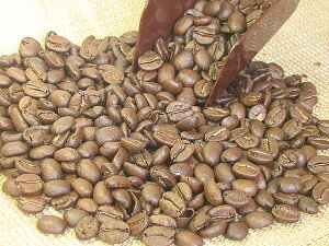 ɐI6ނ@IׁI{̍͂Gh}Ee500gyRCPz