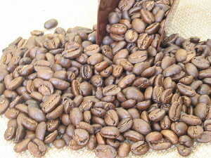 ɐI6ނ@IׁI{̍͂}f100gfs3gmyRCPz