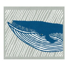 e.X|WCv J^J^  u[^O[ ؂ WX230018(1)ye.X|WCvz