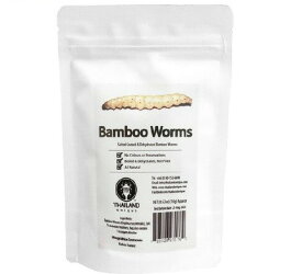 昆虫食 バンブーワーム Bamboo Worms TIU0018(10g)【JRユニークフーズ (JR UNIQUE FOODS)】