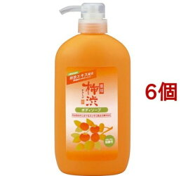 薬用 柿渋 ボディソープ(600ml*6個セット)【薬用柿渋(熊野油脂)】