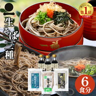 まだ間に合う 父の日 ギフト プレゼント お中元 御中元 そば 出雲そば 生そば 6食分 つゆ付き【3つの味生…