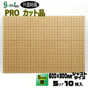 yX[p[SALEizgoo!pl PRO^bN Жʂ̂tpl5mmy600×300mmz5or10Zbg
