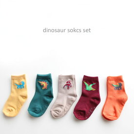 ＜BABY＞＜KIDS＞ac dinosaur sokcs set 5足セット 12-14 14-16のみ滑り止め付き 恐竜 くすみ色 韓国子供服 靴下 キッズ 赤ちゃん オシャレ 女の子 男の子 可愛い キュート ギフト プレゼント お祝い