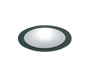 y󒍕izDNCeBO D-EX102BF 60 F ЂƂLED^_ECgEƓx^ Chz ubN DEX102BF