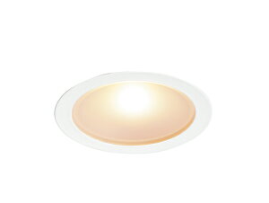 y󒍕iz DNCeBO D-EX102WFH LED_ECg zCg 4000K DNL