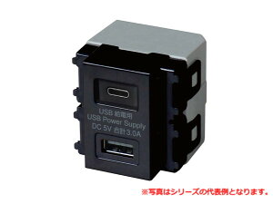 ���c�d�@���쏊 USB-R3704BK ����USB���d�p�R���Z���g�iType-C�AType-A�^�C�v�j�i�u���b�N�j TERADA