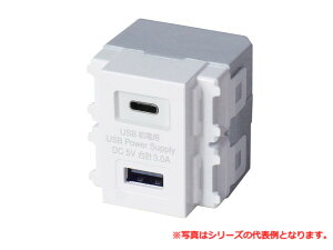 ���c�d�@���쏊 USB-R3704W ����USB���d�p�R���Z���g�iType-C�AType-A�^�C�v�j�i�z���C�g�j TERADA