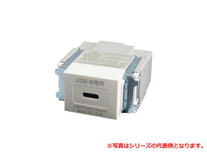 ���c�d�@���쏊 USB-R3706W ����USB���d�p�R���Z���g�iType-C�^�C�v�j�i�z���C�g�j TERADA