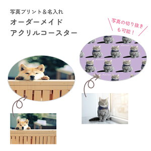 IWi R[X^[ AN I[_[ S  NA ʐ^ 摜  1璍\ v[g Mtg 蕨