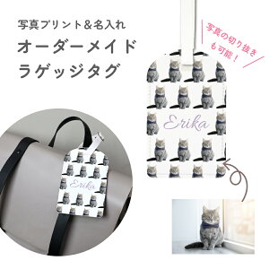 IWi QbW^O U[ ډBJo[t XNGA I[_[ S ʐ^ 摜  1璍\ v[g Mtg 蕨 L[P[X^O gxObY