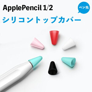 Apple Pencil2 Apple Pencil y VRJo[ S5F yJo[ ~ 򉻖h~ É Abv yV ꐢ 񐢑