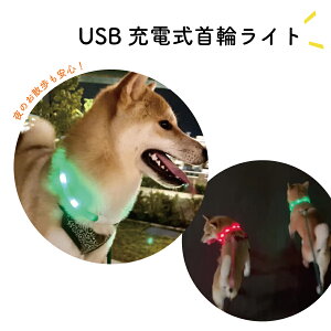 UCg փCg    S M ^ ^ ^ USB[d Cg 񂿂p ybgpi