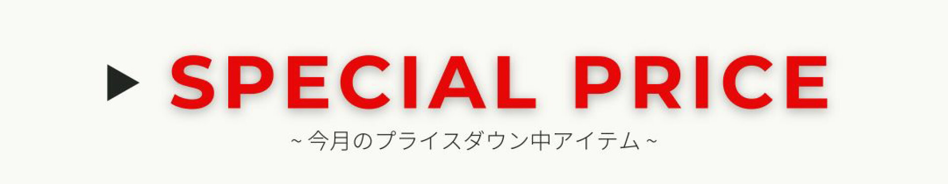 期間限定特別価格SALE