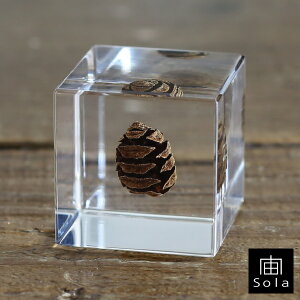 -sola- \ sola cube ^ZRCA ANL[uETMmlhR