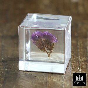 -sola- \ sola cube X^[`X ANL[uETMmlhR