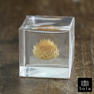 -sola- \ sola cube P^EA ANL[uETMmlhR