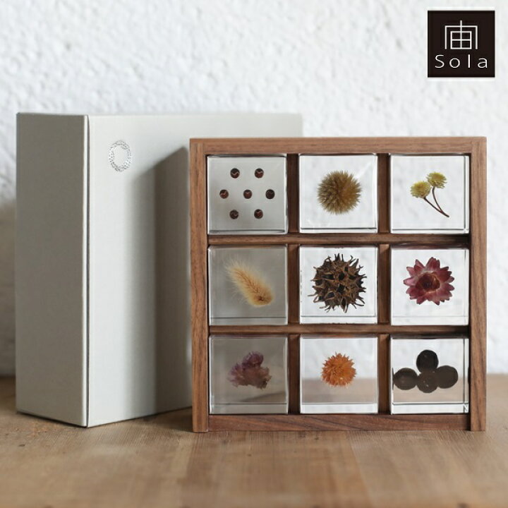 楽天市場】【送料無料】宙-sola- ソラ sola cube 標本箱木箱セット 