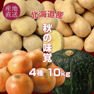北海道 秋の味覚 4種の秋野菜セット 合計10kg 2種類のじゃがいも(男爵,メークイン) かぼちゃ 玉ねぎ 北海…