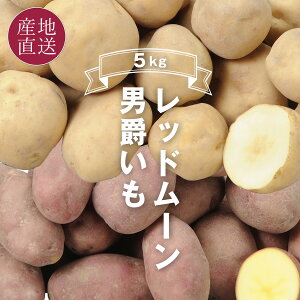 kC Y Ⴊ2Zbg v5kg j݂(2.5kg) / bh[(2.5kg) kC  ԂVIVA}VF H  WKC _ƒ yz \̔i10{