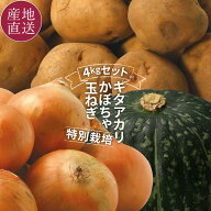 北海道 特別栽培 秋の野菜収穫セット 3種 合計4kg じゃがいも キタアカリ/玉ねぎ/かぼちゃ 北海道 じゃが…
