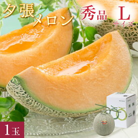 夕張メロン 秀品 Lサイズ(約1.3kg) 1玉 共撰 夕張農協 合格品 共撰 秀品 夕張メロン 1個 お中元 高級 メロン 北海道 夕張 ゆうばり JA夕張 夏 ギフト 中元 御中元 贈り物【送料無料】★おすすめ品