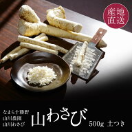 山わさび (北海道産) 西洋わさび 500g 極上の風味を味わう 生の山わさび 農家集団「なまら十勝野」山川農…