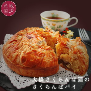 `F[pC(ڃpC) kC 勴ډ TN{ P[L mَq pCP[L   XC[c Mtg j  Ԃ yz