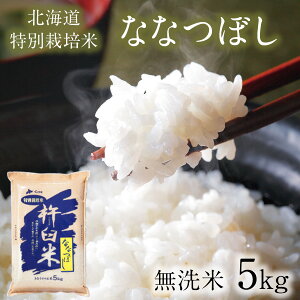 yVė\zʍ͔| ȂȂڂ  5kg ߘa7N A ȂȂڂ 5L kC   kC Ȃt@[ _ƒ  ߘa7NY V kCY 2025NYyz