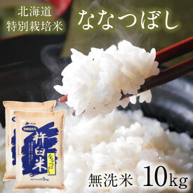 【ポイント5倍★4/25限定】 特別栽培米 ななつぼし 無洗米 10kg 令和5年 特A ななつぼし 10キロ(5kg×2袋) 減農薬 北海道 米 無洗米 10kg 北海道 きなうすファーム 農家直送 お米 令和5年産 新米 北海道産米 2023年産【送料無料】