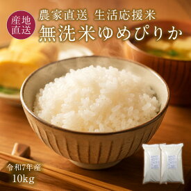 ゆめぴりか 無洗米 10kg 5kg×2 令和7年 特A ゆめぴりか 10キロ 5キロ×2 北海道 米 無洗米 北海道 きなうすファーム 農家直送 お米 令和7年産 北海道産米 2025年産【送料無料】