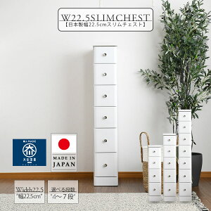 X`FXg  22.5cm Ԏ[ k ؐ 4i 5i 6i 7i `FXg i ԃ`FXg Ƌ s40cm { Y zCg ֗[  o[ rO _CjO 