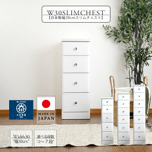 y10%OffN[|zz 11/3 23:59܂ŁzX`FXg  30cm Ԏ[ k ؐ 4i 5i 6i 7i `FXg i ԃ`FXg Ƌ s40cm { Y zCg ֗[ 