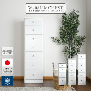 y12/1 N[|zz123:59܂ŁzX`FXg  40cm Ԏ[ k ؐ 4i 5i 6i 7i `FXg i ԃ`FXg Ƌ s40cm { Y zCg ֗[ 