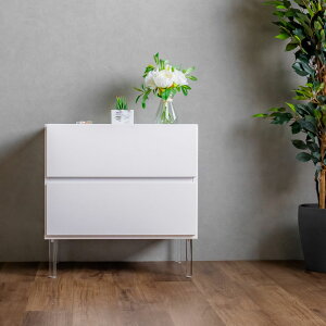 yBlack Friday! N[|s! 2701:59܂Łz@TCh`FXg RpNg`FXg 2i 60 60 _ zCg ubN { i  AN rt mg[ Vv u