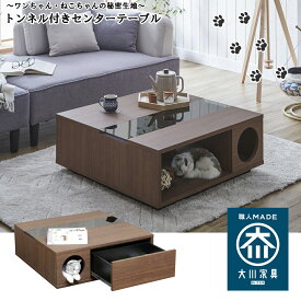 【2日間限定15%off】センターテーブル リビング テーブル 猫 犬 秘密基地 トンネル付き 引き出し付き 幅80cm モダン 国産