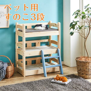 yN[|s 11/11 01:59܂Łzybg xbh 3i XmR kpCgp 킢 L Ck Q }bgX i` LƋ CkƋ ybgƋ