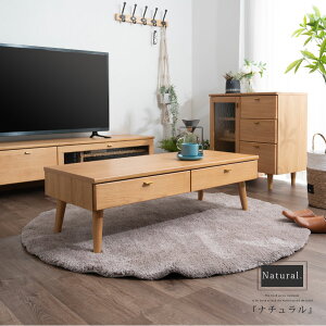 Z^[e[u  rOe[u [e[u { 킢 k Vv rt 110cm RpNg [t ot |{bgΉ EH[ibg I[N wʎ